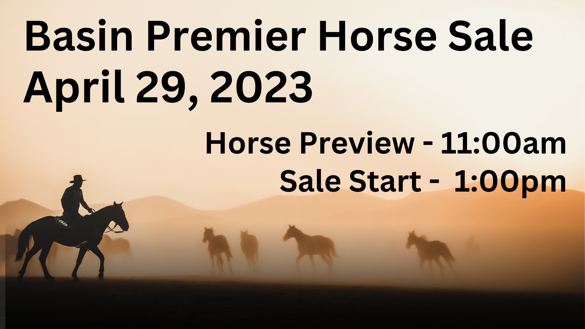 Basin Premier Horse Sale Basin Livestock Basin Livestock Market Livestock Auction in Utah