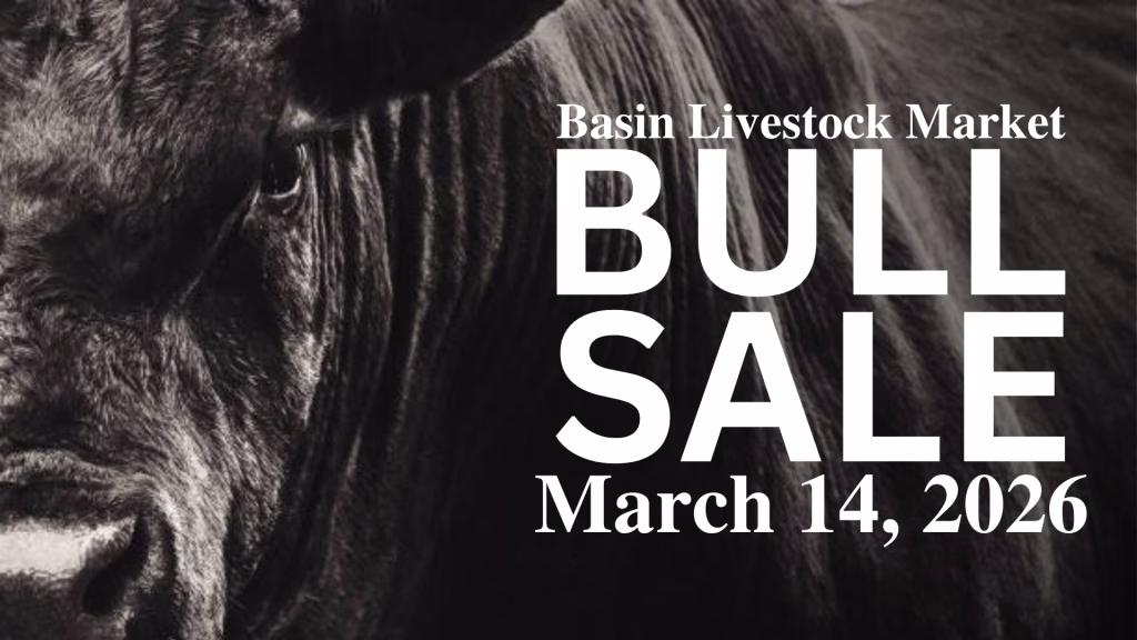 Bull Sale March 14th 2026